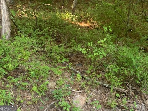 Fayetteville Land for Residential Development