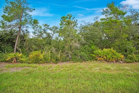 Land, PAISLEY, FL