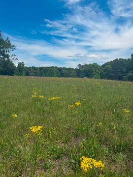 7.8 Acres Ready for Development