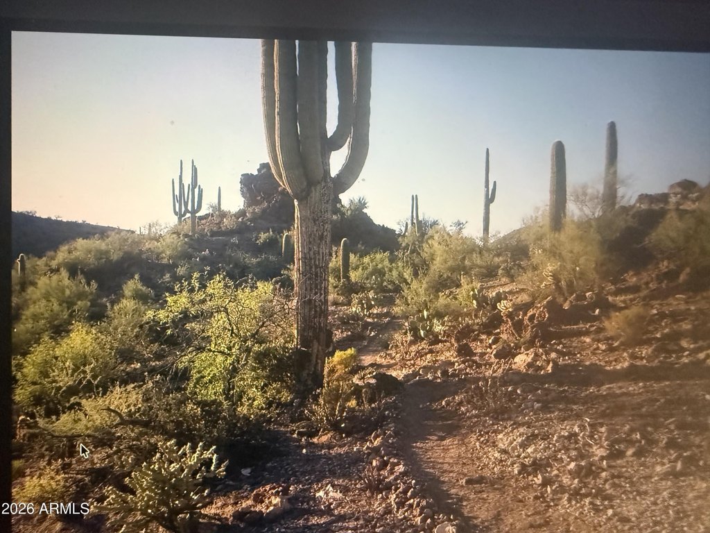 Picture 23