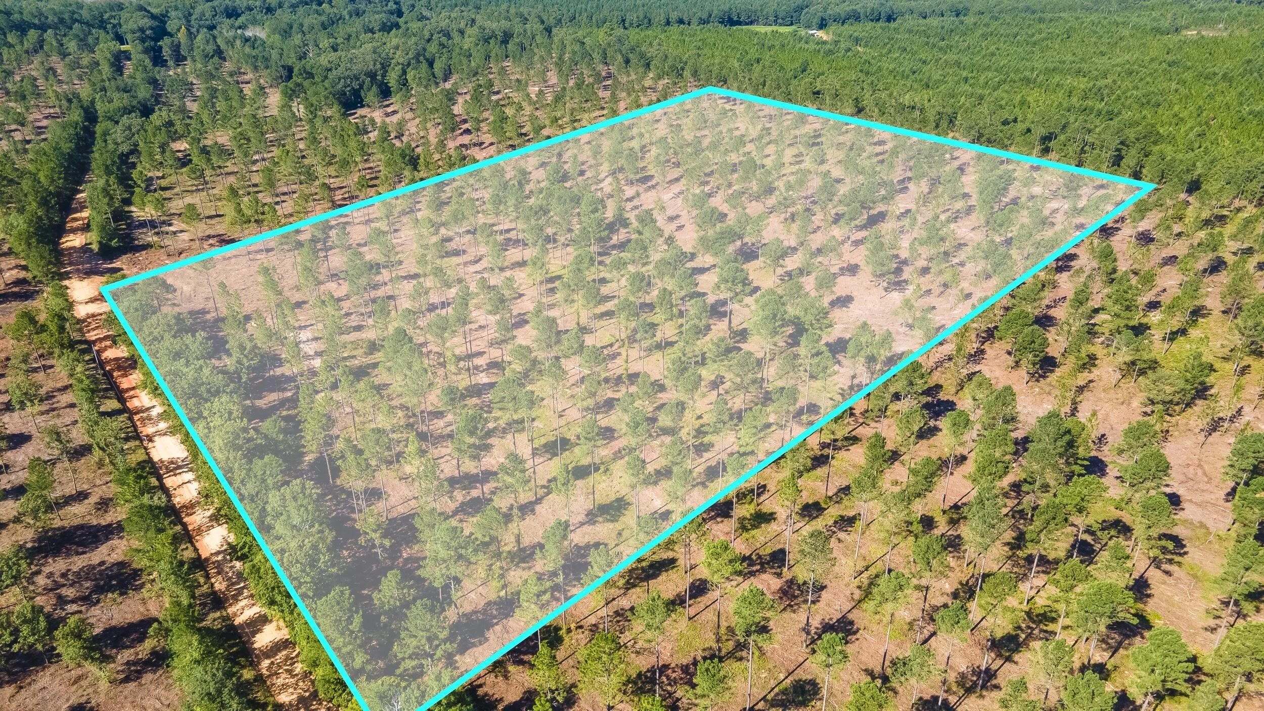 Aiken County Land Parcel