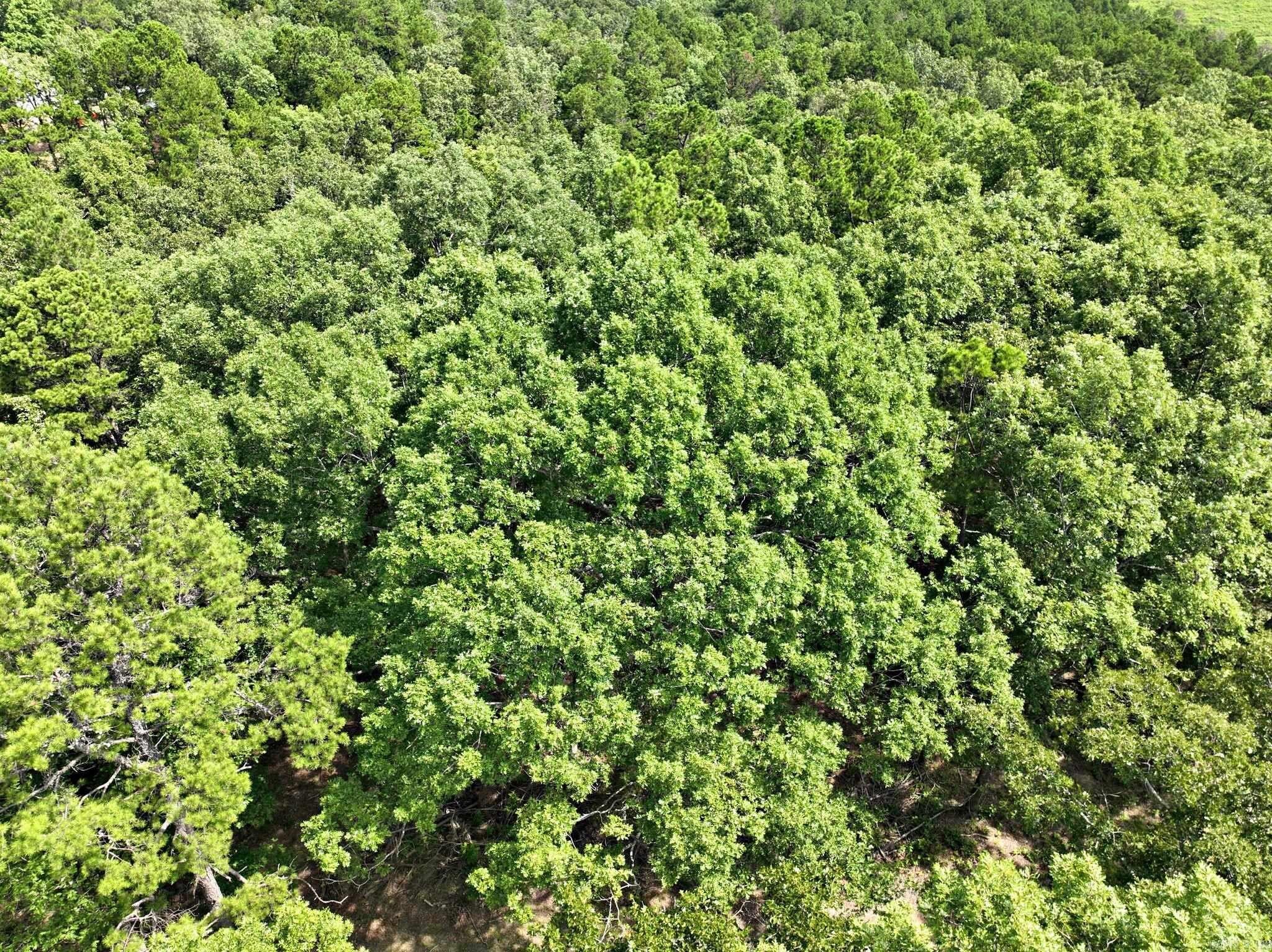 Mena, AR Land For Sale