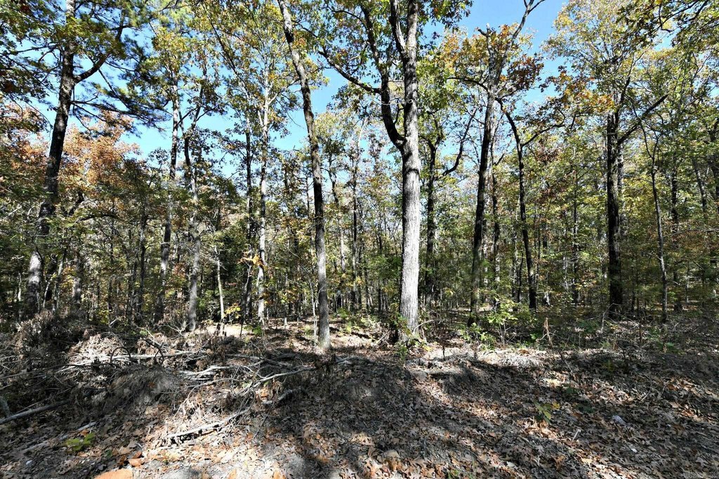 Picture 9