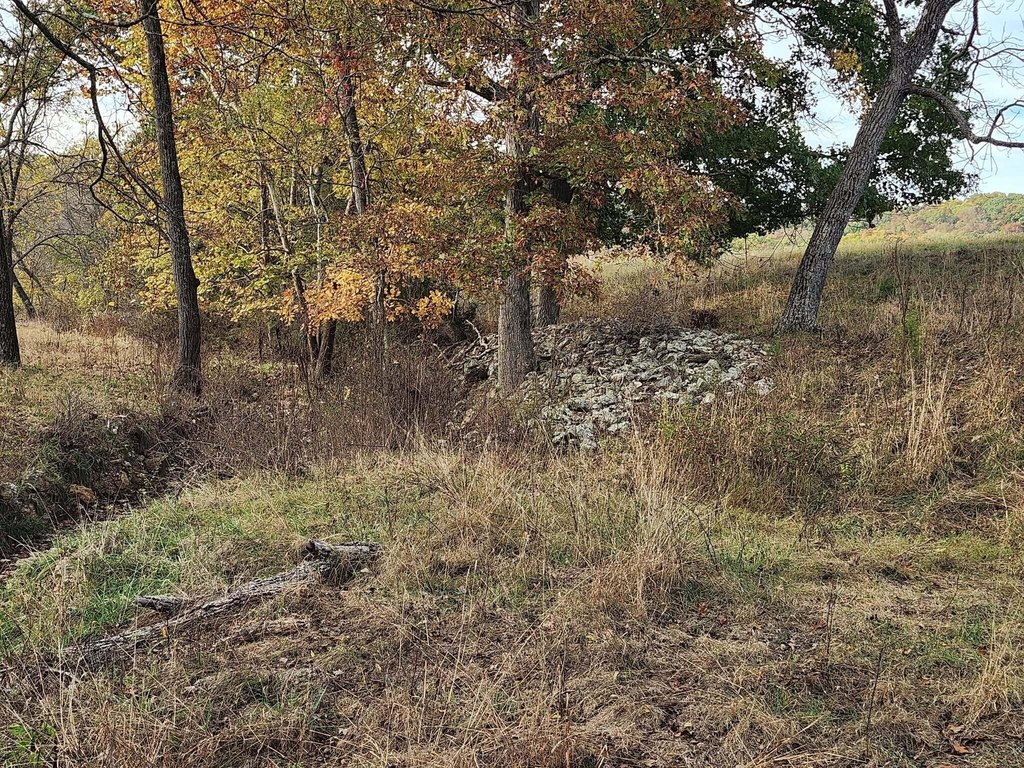 Picture 13