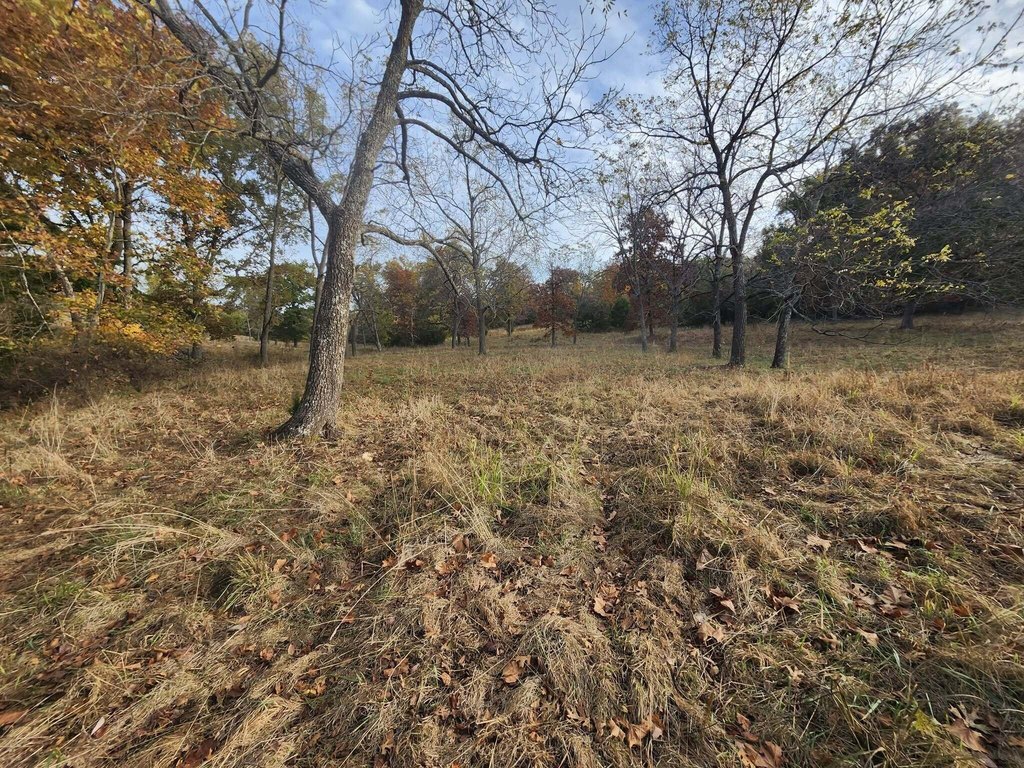 Picture 12