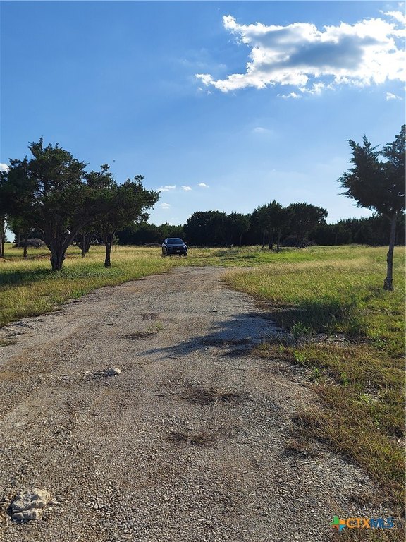Picture 2