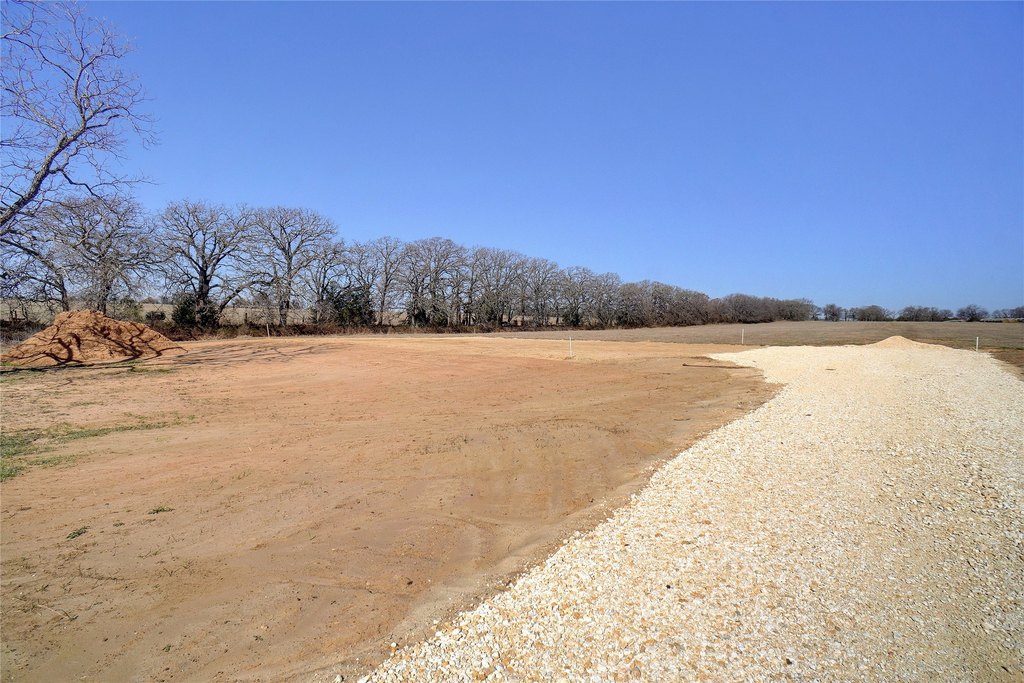 Picture 6