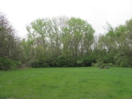 Wooded Land in Morris, Illinois