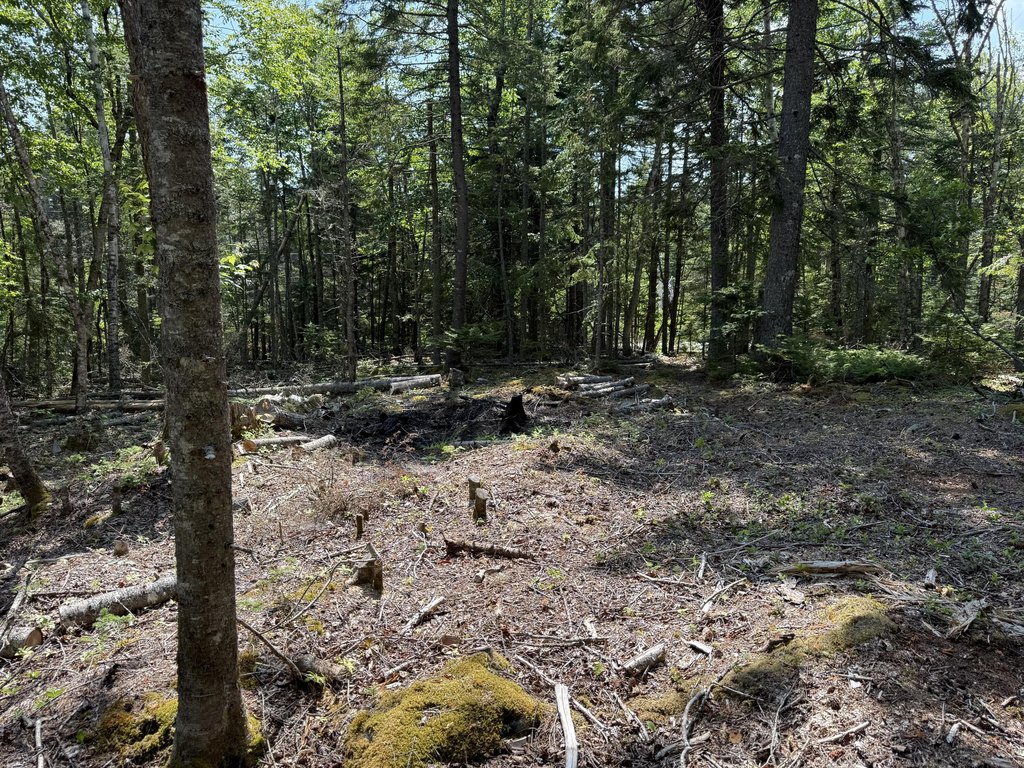 Picture 13