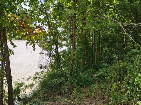 Recreation Hunting Land Parcel