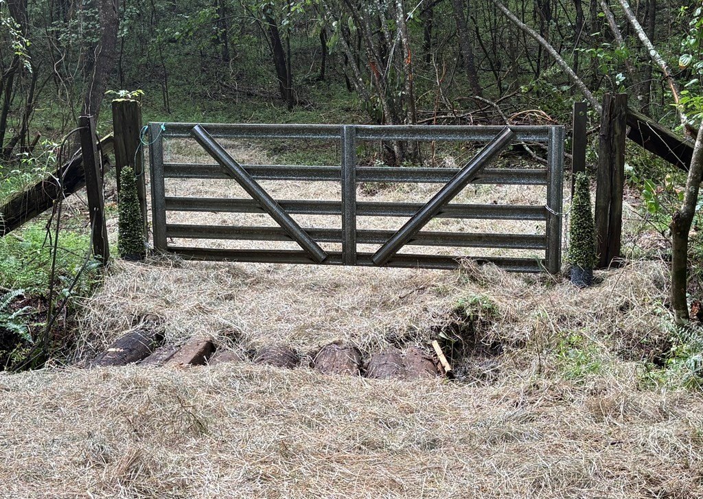 Picture 20