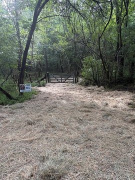 Unrestricted Land with Creek Frontage