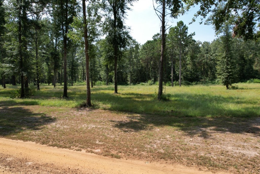 Picture 9
