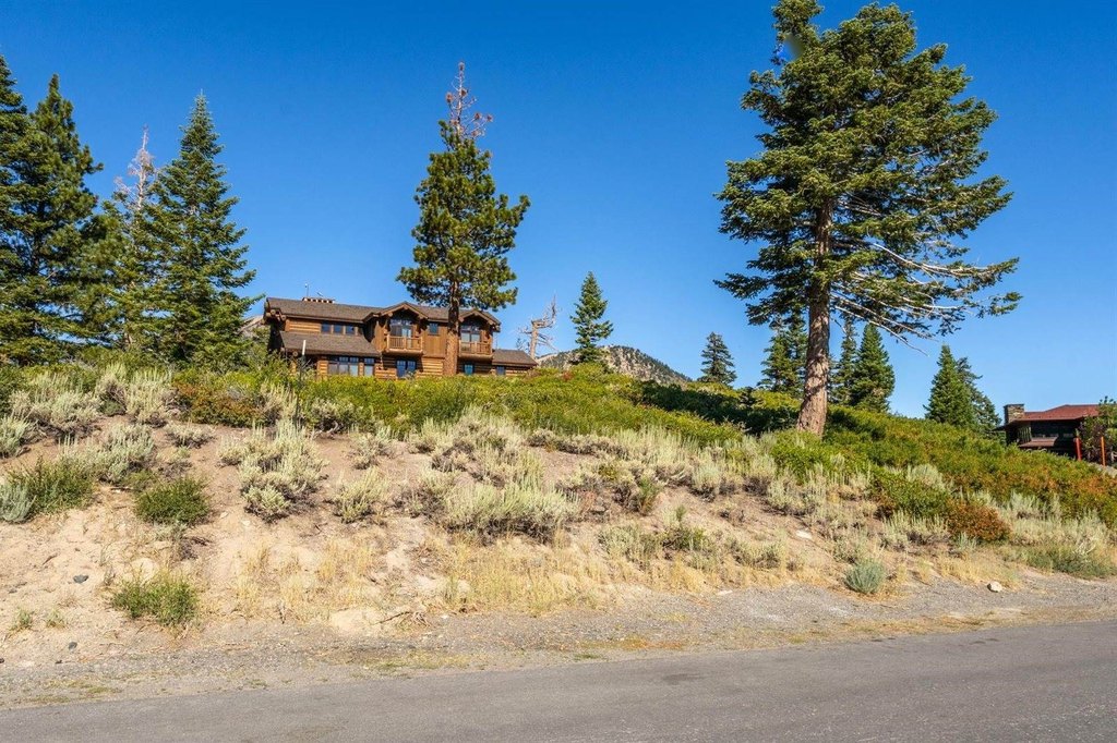 Picture 25