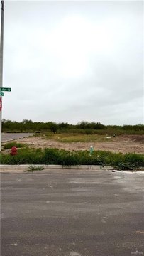 Residential Lot in Hidalgo, TX