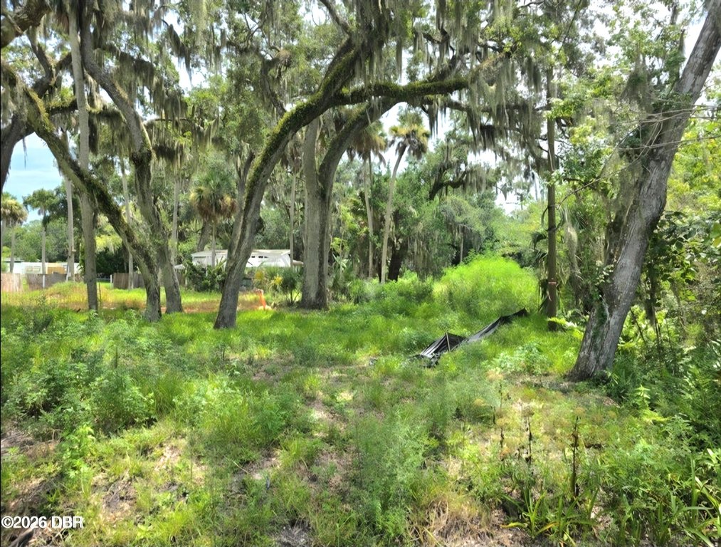 Picture 18
