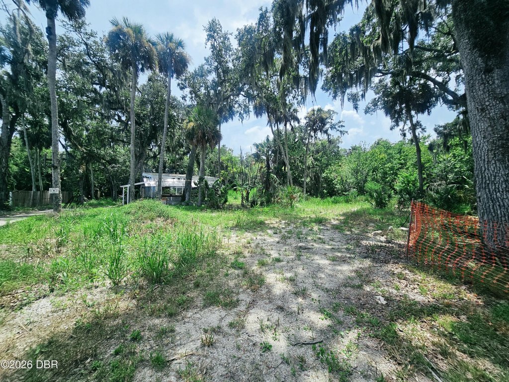 Picture 20