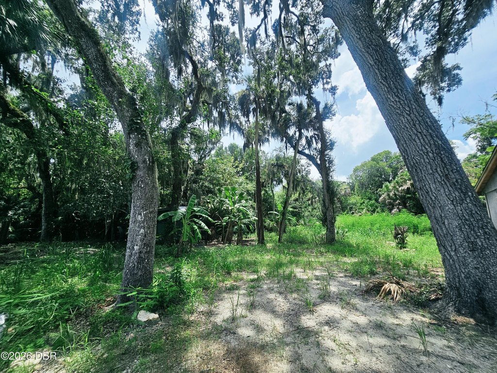 Picture 17