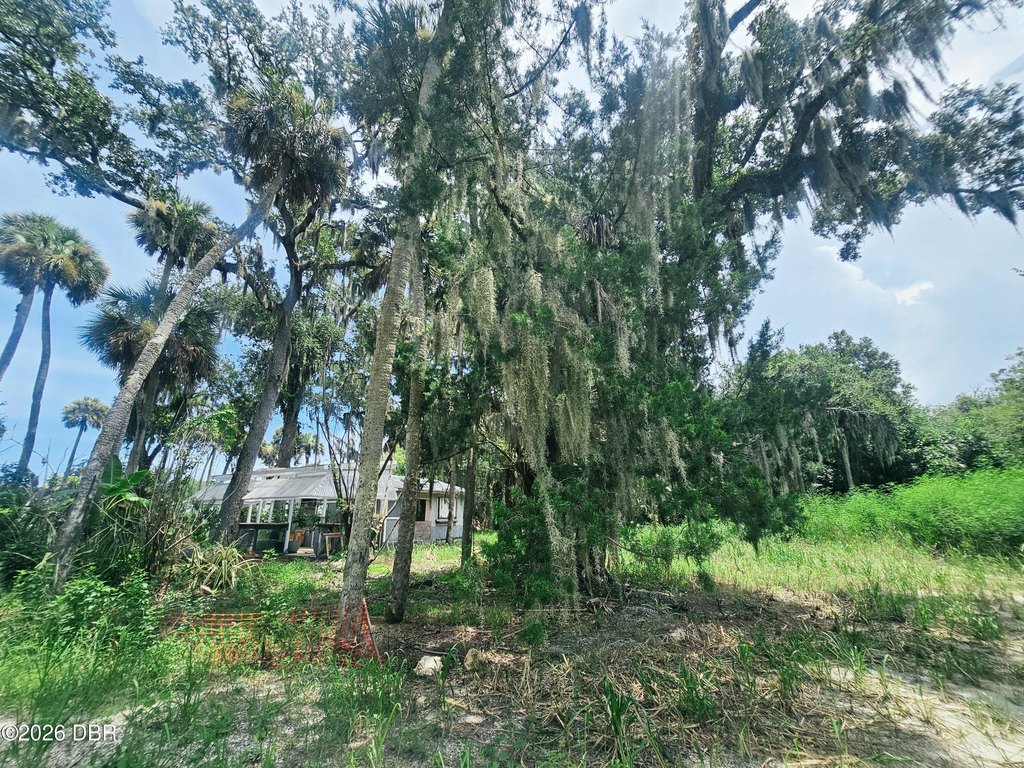 Picture 16