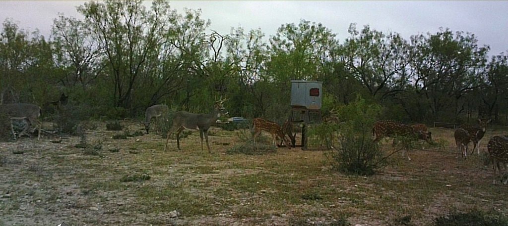 Picture 23