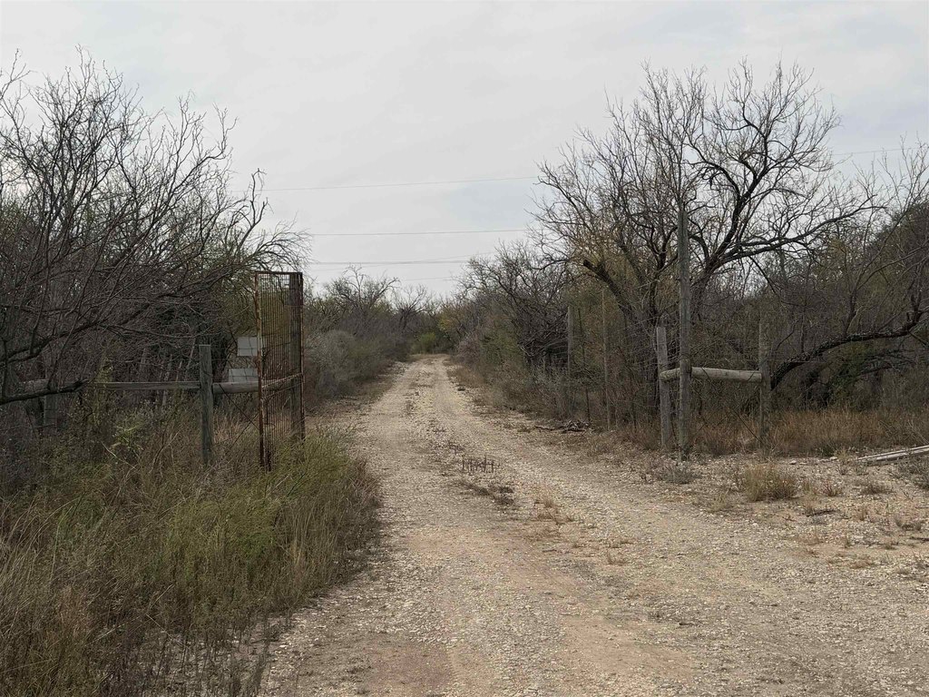 Picture 6