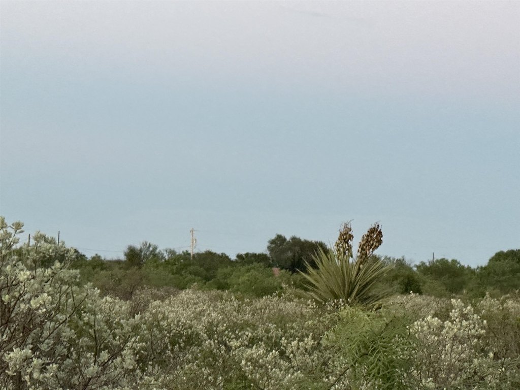 Picture 22