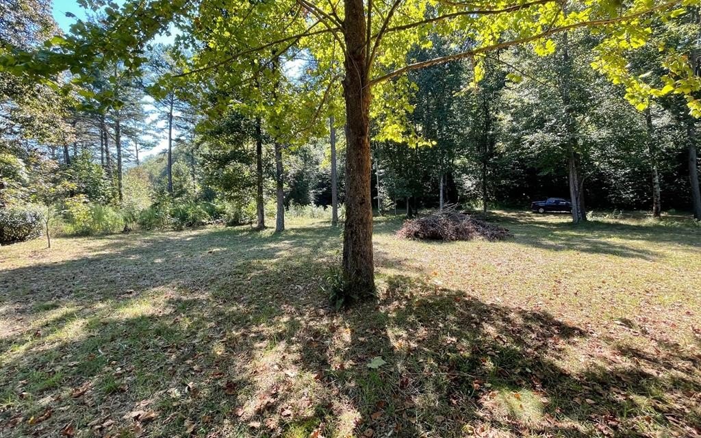 Riverfront Lot in Hayesville, NC