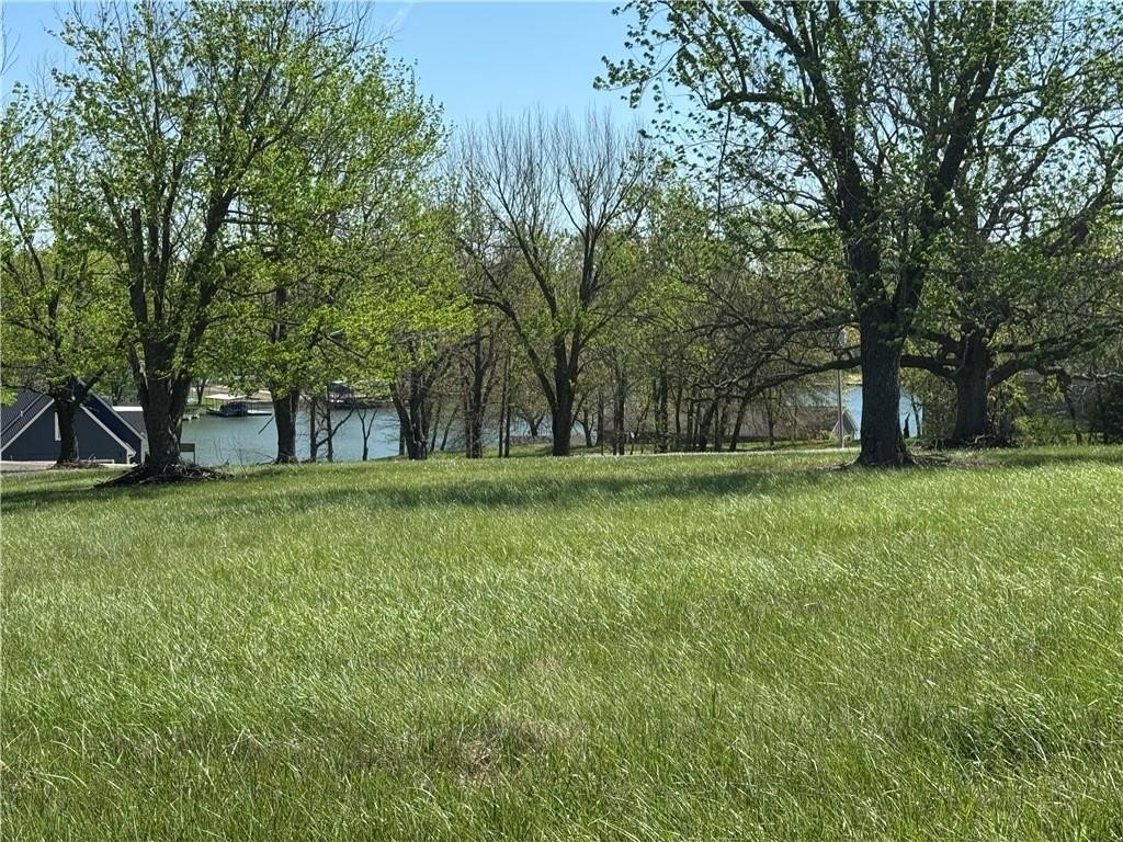 Picture 5