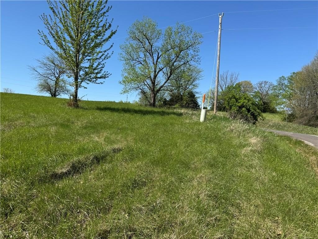 Picture 6