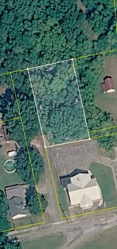 Land For Sale, Henry, TN