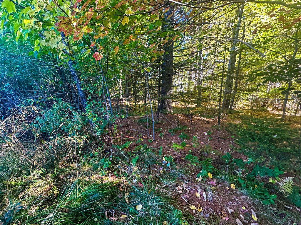 Picture 7