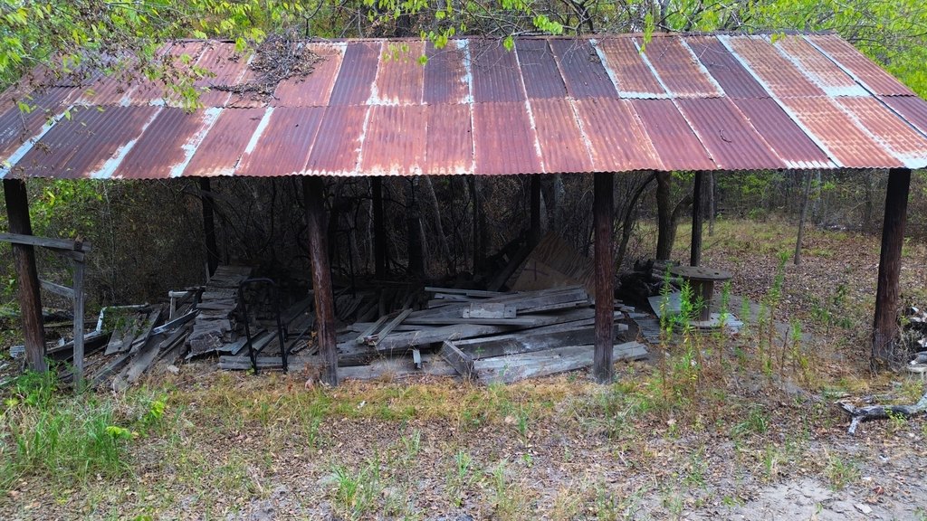 Picture 6