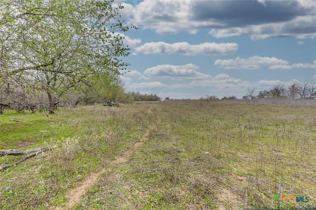 Nixon, TX Land Opportunity
