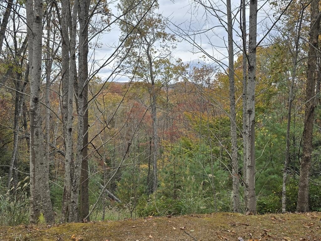 Picture 8