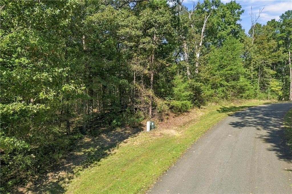Picture 4