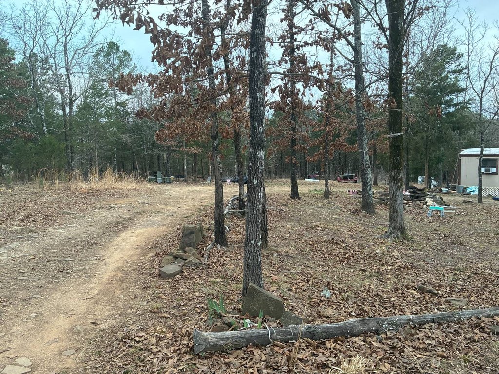 Picture 2