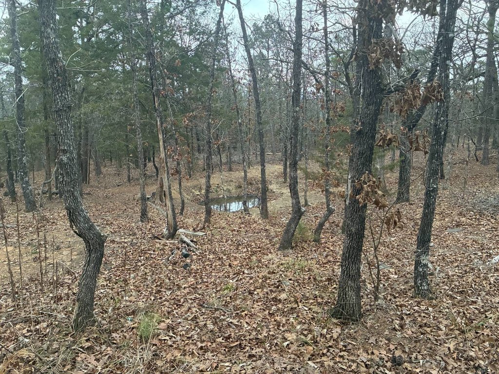 Picture 3