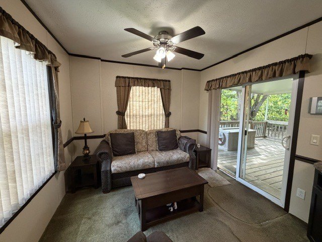 Picture 8