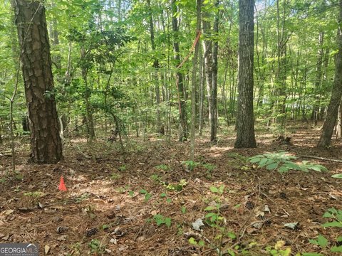 Ellijay, GA Vacant Land