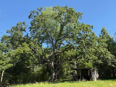 Land, Pattison, MS