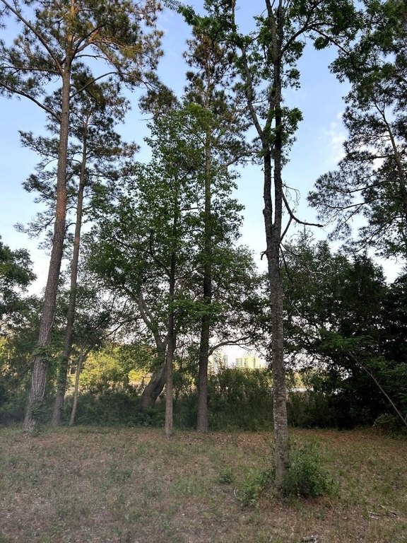 Picture 9