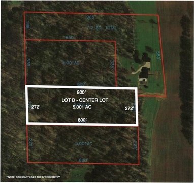 Secluded Wooded Lot in Mansfield