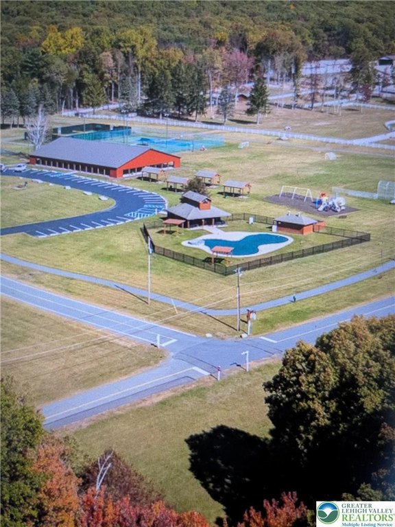 Picture 8