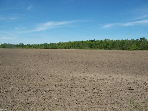 Commercial Land on Paved Road
