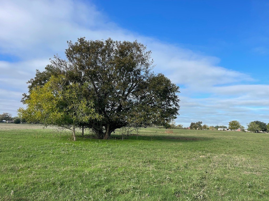 La Grange Acreage with Well