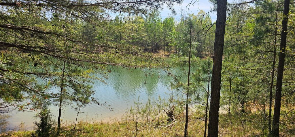 Picture 13