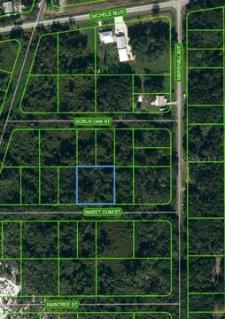 Residential Land in Lake Placid