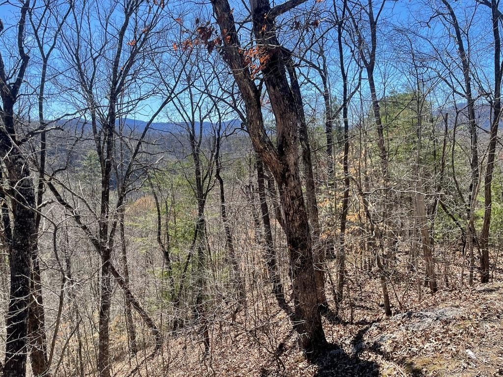 Large Lot with Mountain Views