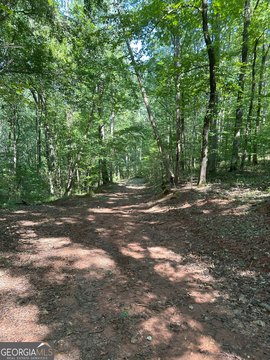 Nearly 200 Acres in Madison