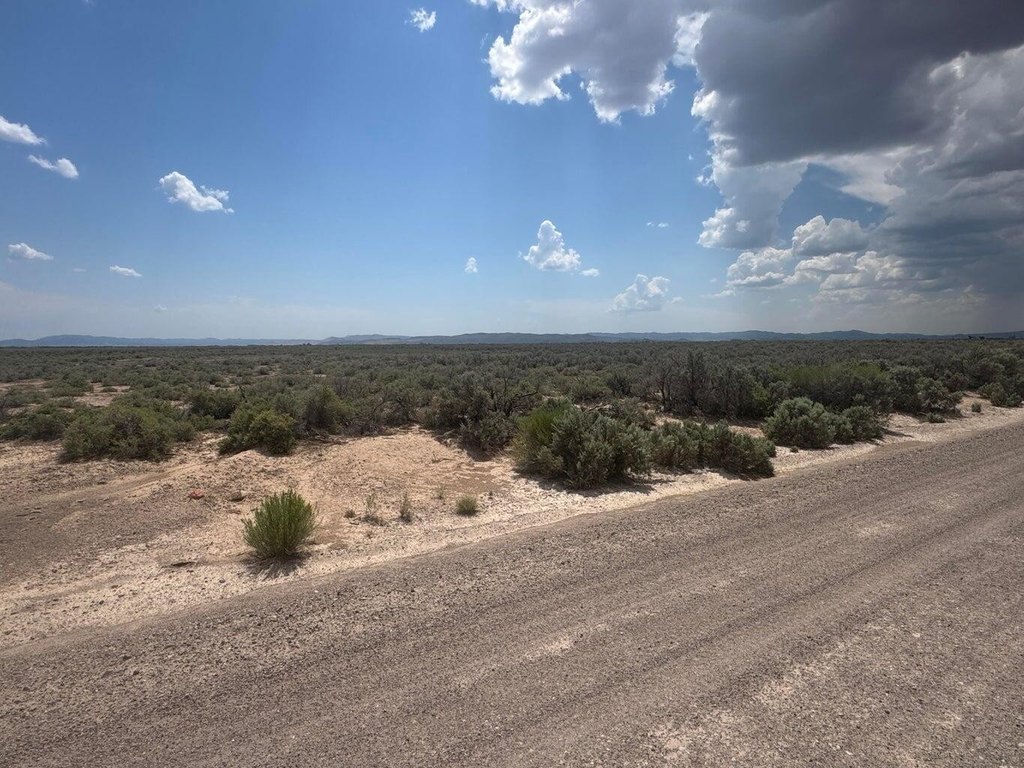 Picture 4